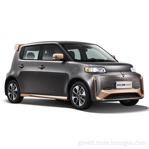 ORA White Cat 305km range 48Ps motor 4-seat hatchback new energy vehicle 0km used mini electric car for adult
